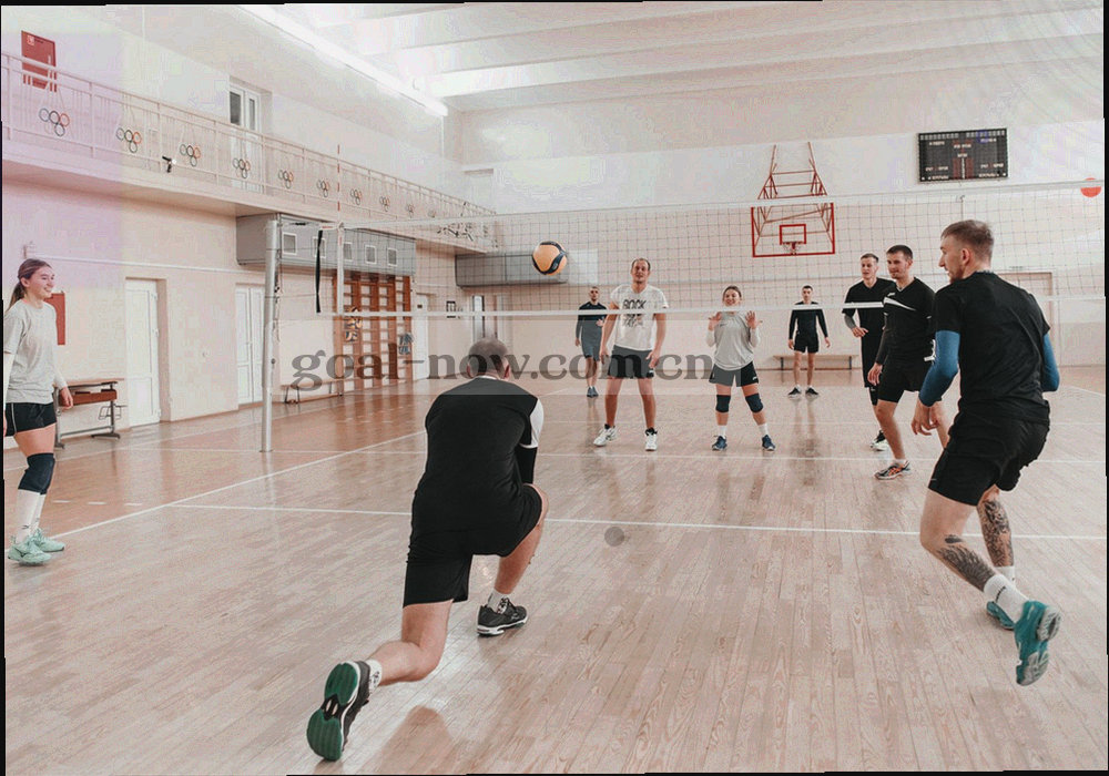 档案架与文件夹的抽象几何排列，冷灰青色调，画面中没有可辨识的文字